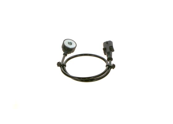 Bosch Klopsensor 0 261 231 144