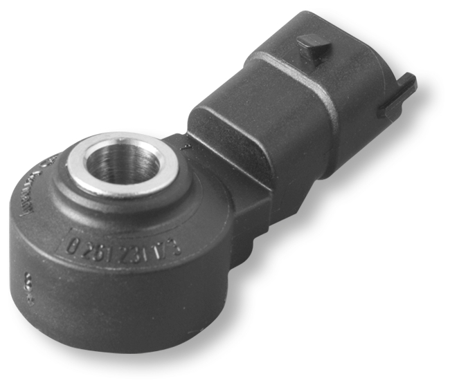 Bosch Klopsensor 0 261 231 173