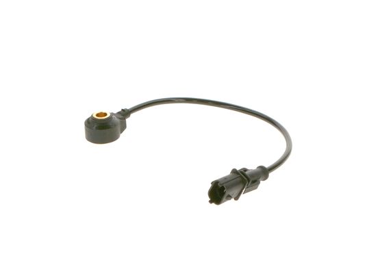 Bosch Klopsensor 0 261 231 211