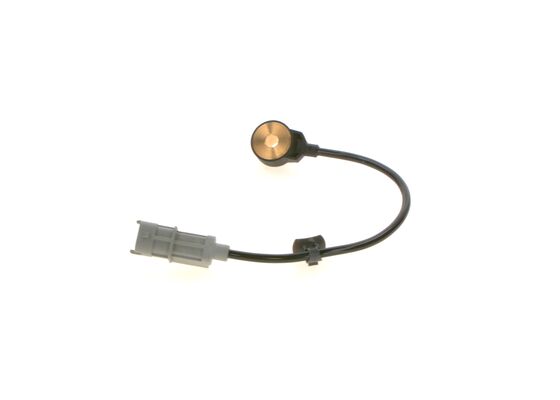 Bosch Klopsensor 0 261 231 228