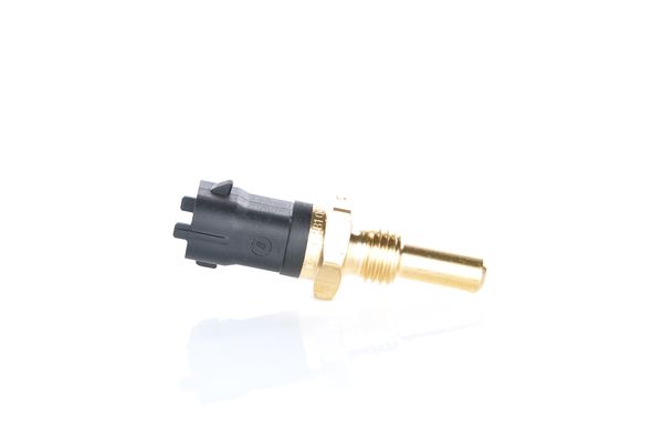 Bosch Brandstofdruk sensor 0 281 006 273