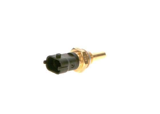 Bosch Brandstofdruk sensor 0 281 006 450