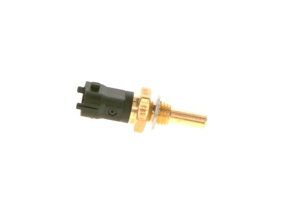 Bosch Brandstofdruk sensor 0 281 006 450