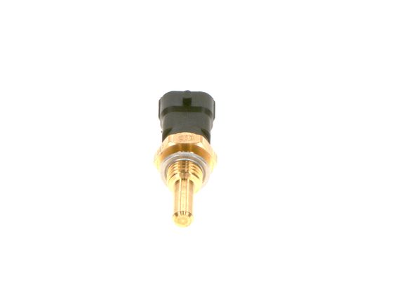 Bosch Brandstofdruk sensor 0 281 006 450