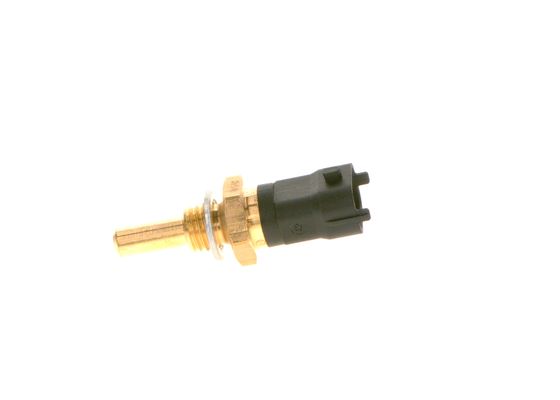 Bosch Brandstofdruk sensor 0 281 006 450