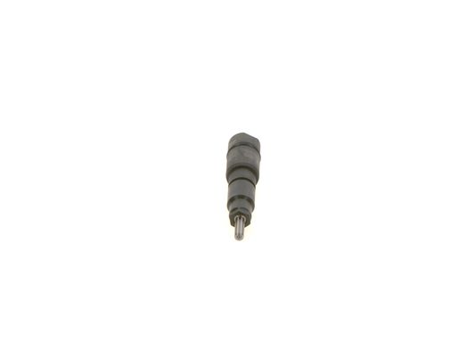 Bosch Verstuiverhouder kompleet 0 432 193 420