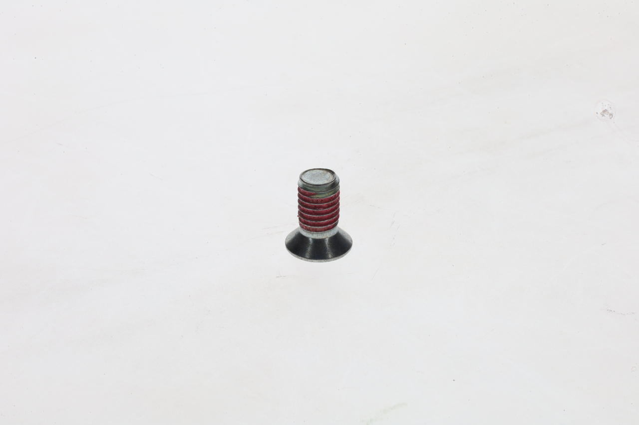 Bosch Schroef 1 423 429 008