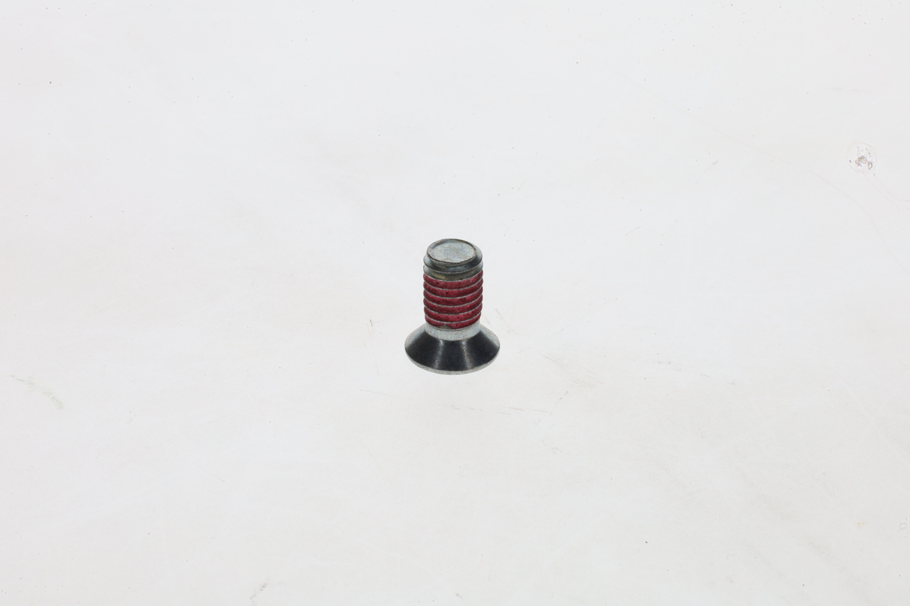 Bosch Schroef 1 423 429 008