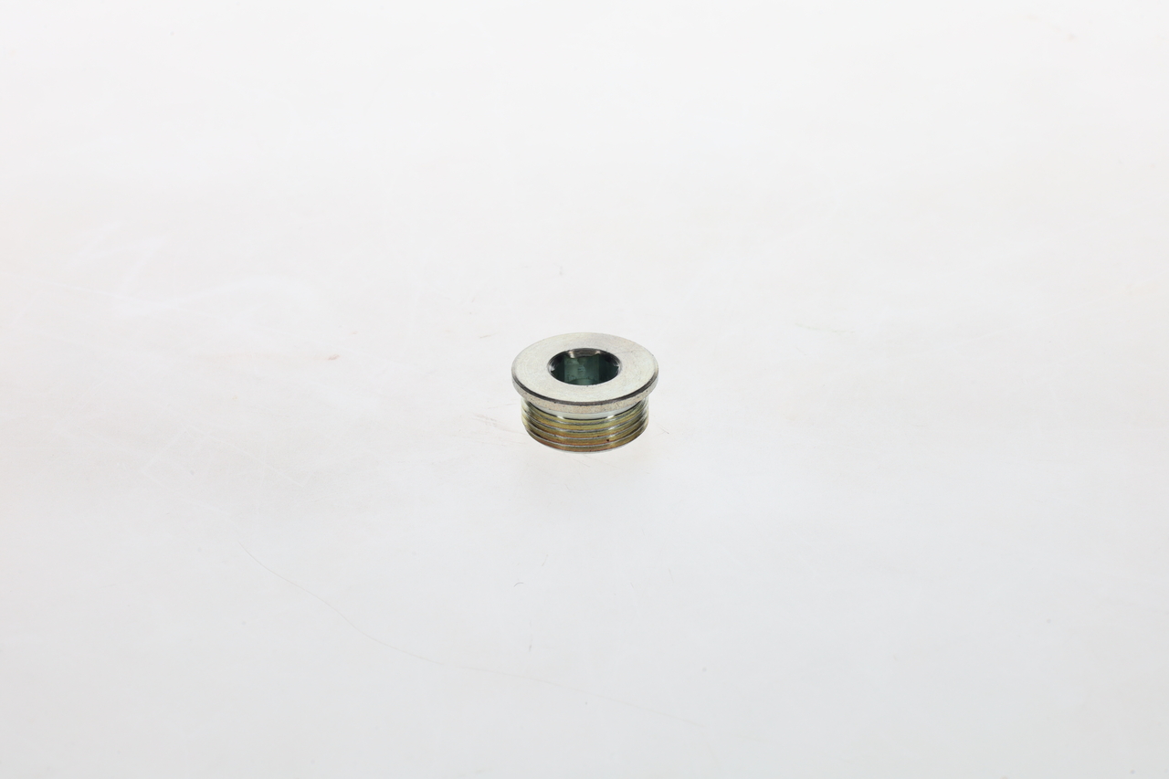 Bosch Schroef 1 423 462 099