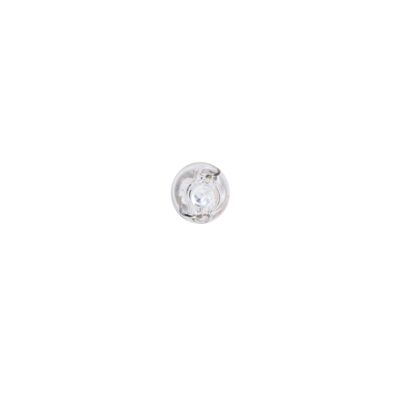 Bosch Gloeilamp, interieurverlichting 1 987 301 024