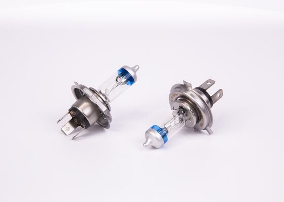 Bosch Gloeilamp 1 987 301 106