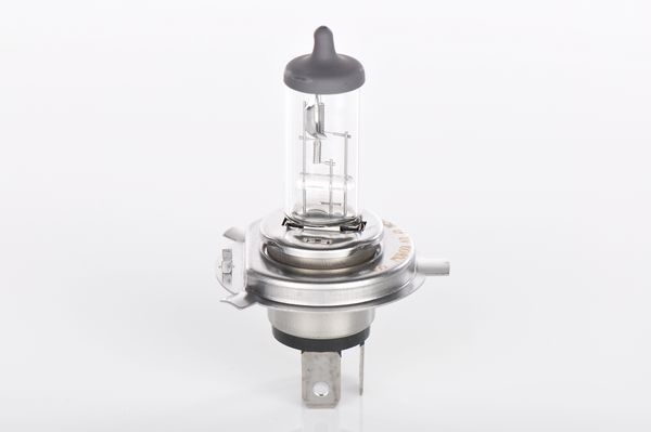 Bosch Gloeilamp 1 987 302 046