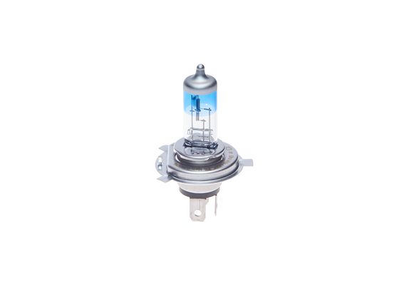 Bosch Gloeilamp 1 987 302 141