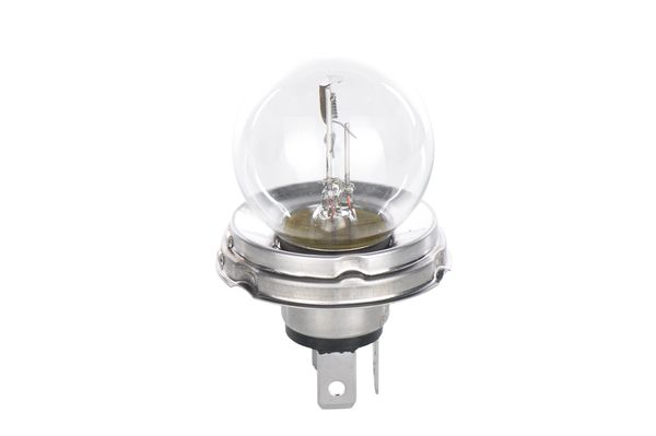 Bosch Gloeilamp 1 987 302 421
