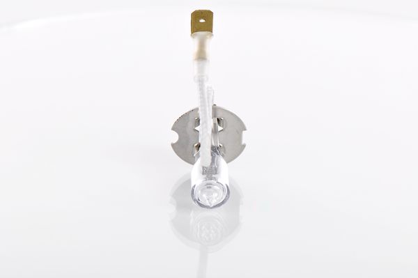 Bosch Gloeilamp 1 987 302 732