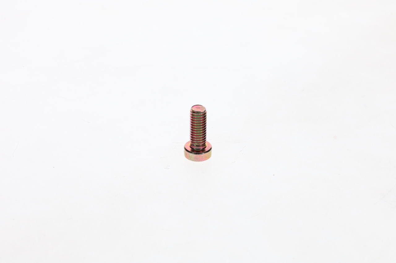 Bosch Schroef 2 910 022 196