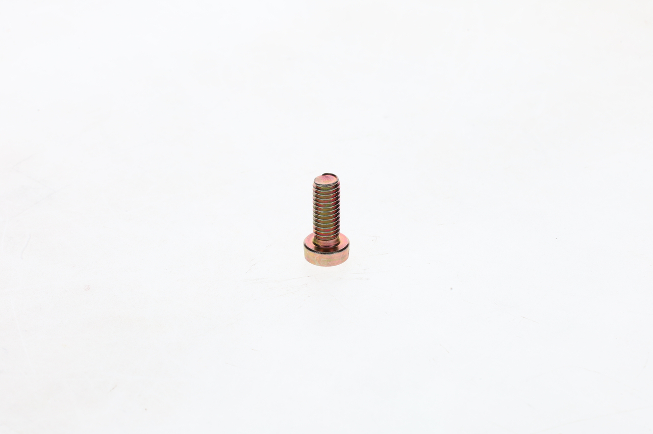 Bosch Schroef 2 910 022 196