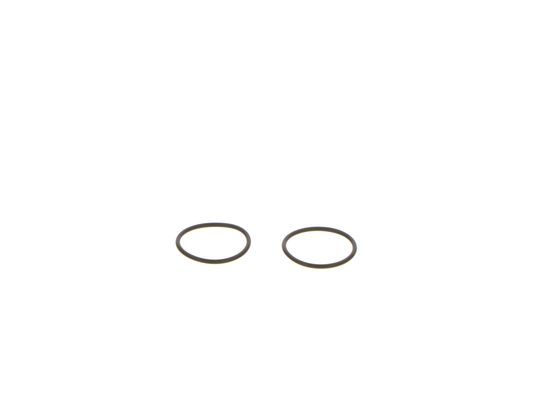 Bosch Pomp-sproeier eenheid F 000 41P 053
