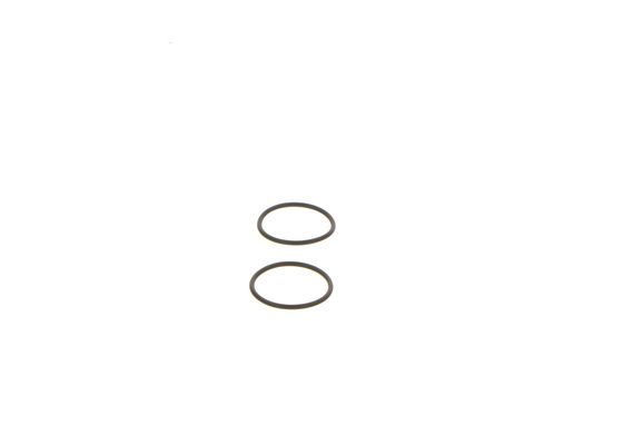 Bosch Pomp-sproeier eenheid F 000 41P 053