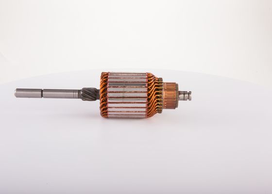 Bosch Anker, starter F 000 AL1 521