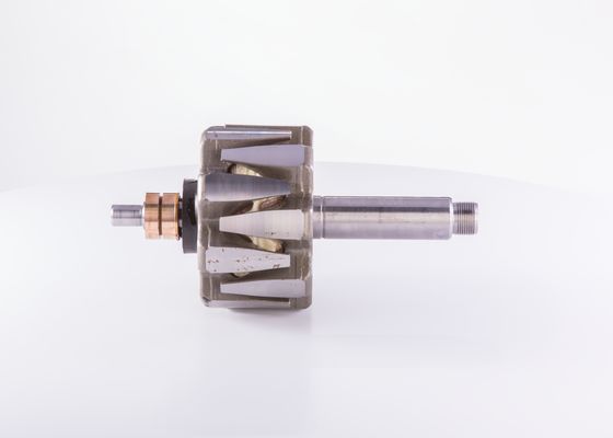 Bosch Rotor, generator F 000 LD1 311