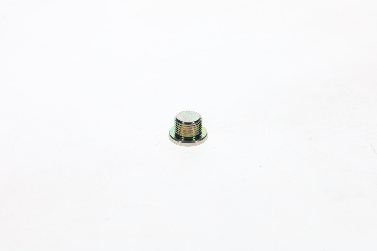 Bosch Schroef F 002 D13 566