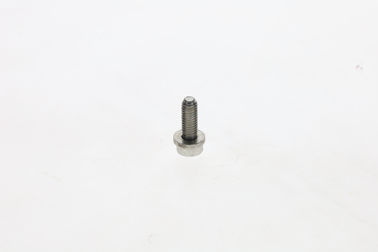 Bosch Schroef F 002 D13 588