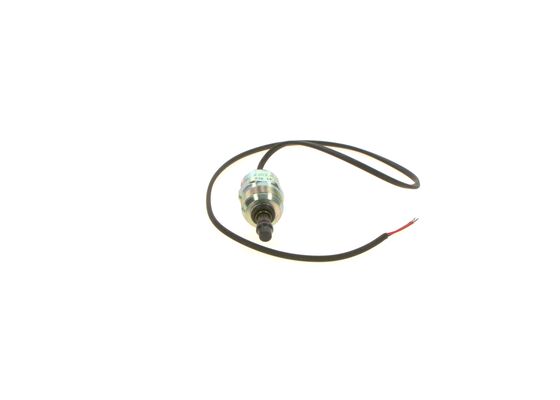 Bosch Hefmagneet F 002 D20 604