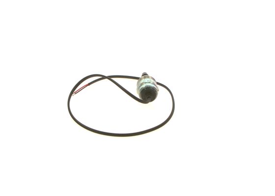 Bosch Hefmagneet F 002 D20 604