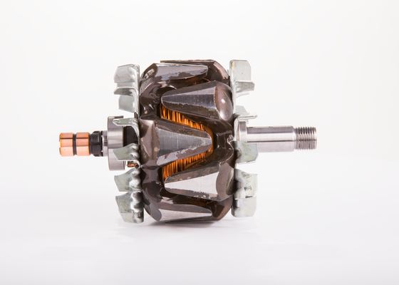 Bosch Rotor, generator F 00M 131 628