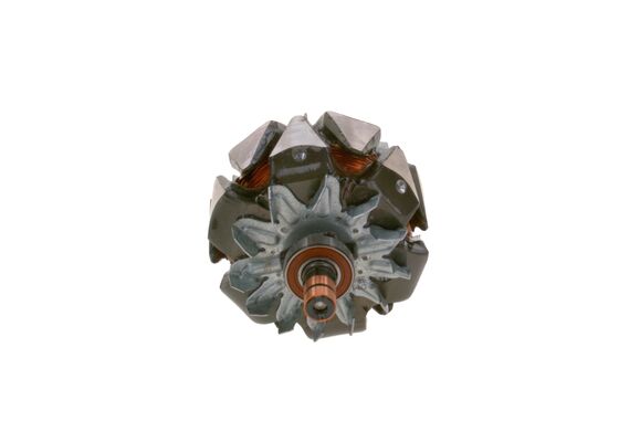 Bosch Rotor, generator F 00M 131 655