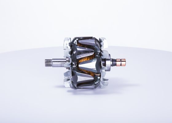 Bosch Rotor, generator F 00M 131 682