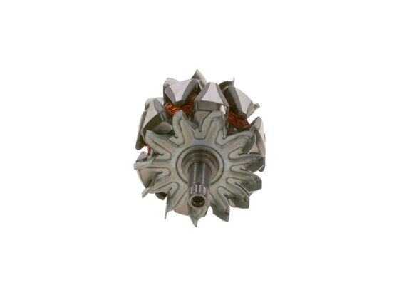 Bosch Rotor, generator F 00M 131 684