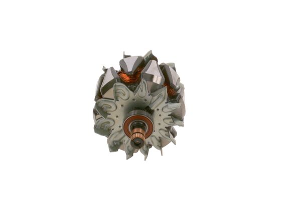 Bosch Rotor, generator F 00M 131 684