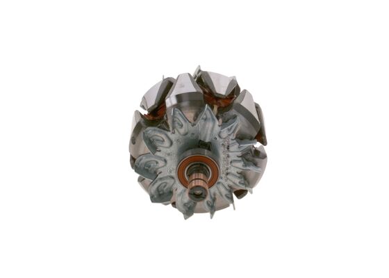 Bosch Rotor, generator F 00M 131 685