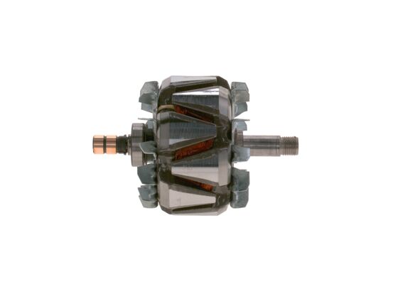 Bosch Rotor, generator F 00M 131 685