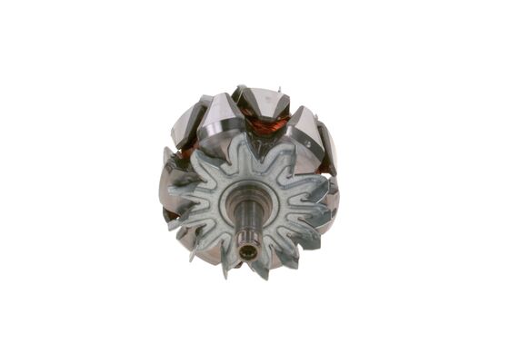 Bosch Rotor, generator F 00M 131 685
