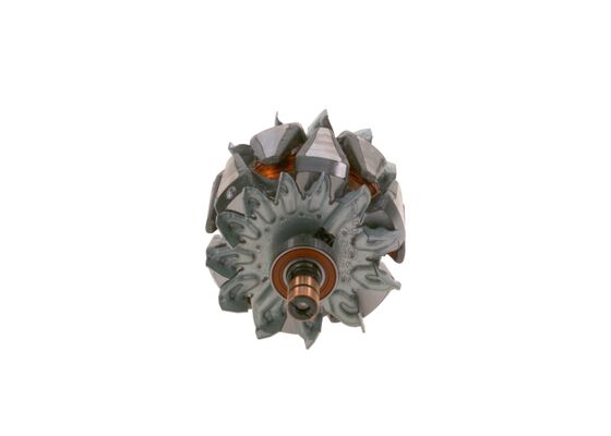 Bosch Rotor, generator F 00M 131 692