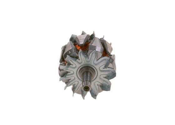 Bosch Rotor, generator F 00M 131 692