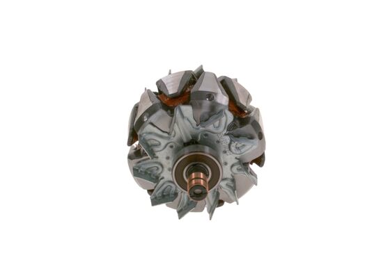 Bosch Rotor, generator F 00M 131 768