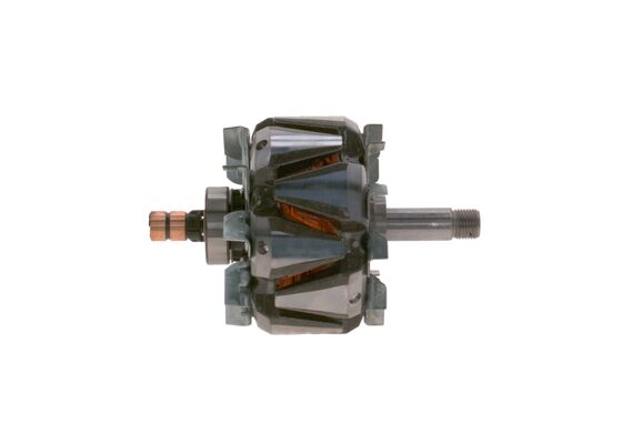 Bosch Rotor, generator F 00M 131 768