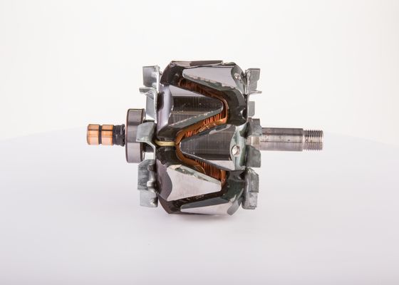 Bosch Rotor, generator F 00M 131 773