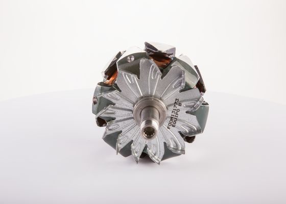 Bosch Rotor, generator F 00M 131 773