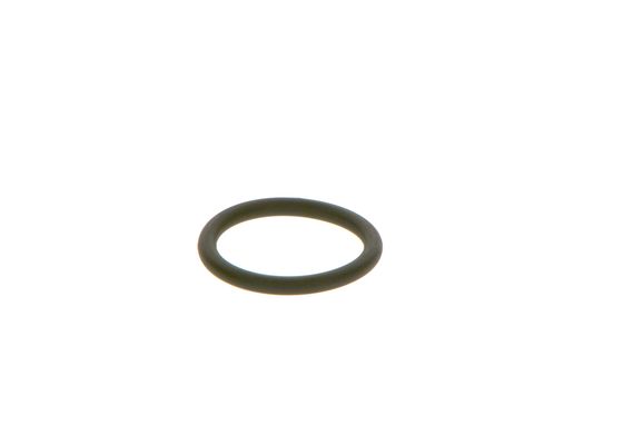 Bosch Rubberen ophangring F 00R J01 452