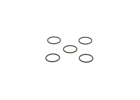 Bosch Afdichtring F 00R J01 878