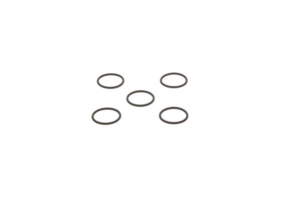 Bosch Afdichtring F 00R J01 878