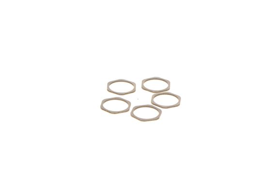 Bosch Pomp-sproeier eenheid F 00R J04 638
