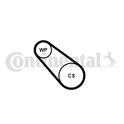 Contitech Poly V-riemen kit inclusief waterpomp 3PK576 ELAST WP1