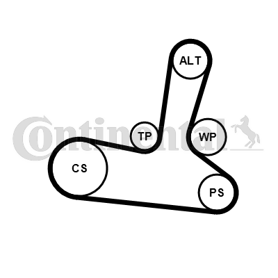 Contitech Poly V-riemen kit 5PK1300K1