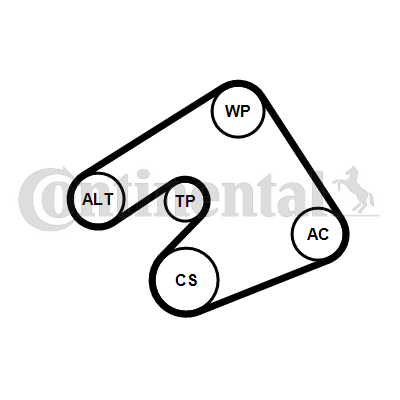 Contitech Poly V-riemen kit 5PK1397K1
